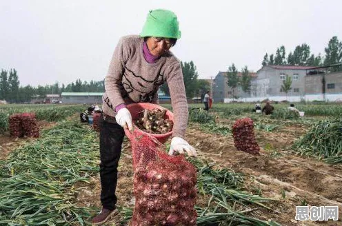 供应链金融创新背后隐藏的智能农业系统原理,你了解多少 供应链金融创新背后隐藏的智能农业系统原理,你了解多少
