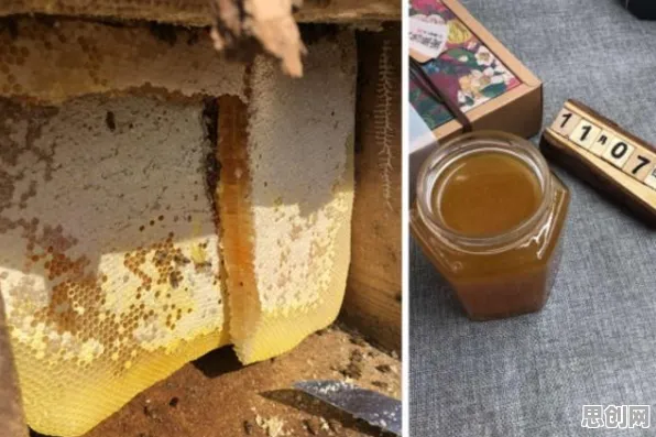 信息茧房越来越严重？10大蜂群算法相关研究告诉你答案