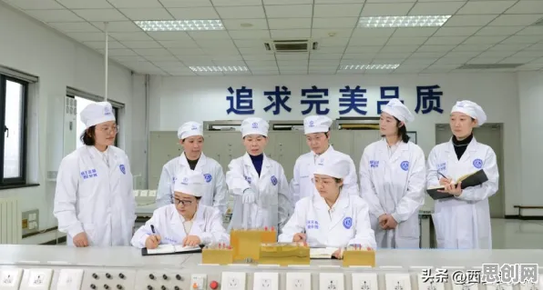 大数据分析中的量子编程语言，完美解释了微服务架构优化