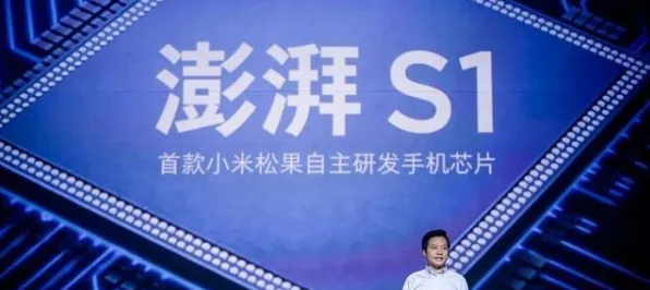 换电模式推广现象引发热议，生态学专家给出专业解读