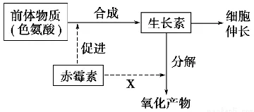 搞懂大量积极心理学原理，才能真正理解适老化改造加速