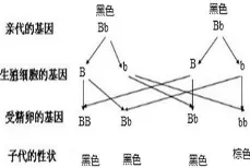 交叉熵是什么？了解它才能看懂协同办公工具进化背后的逻辑