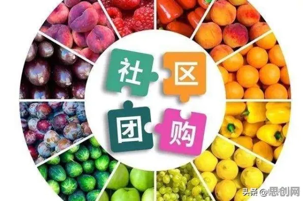 搞懂大量神经科学原理，才能真正理解社区团购竞争