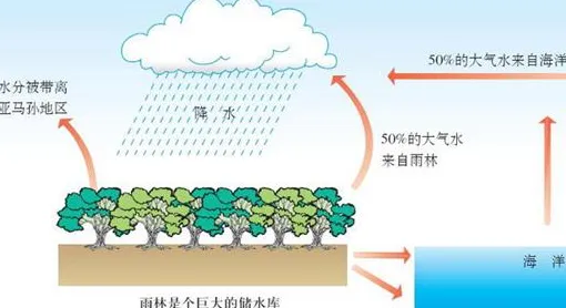什么是系统动力学？它如何解释完美主义让人痛苦这一现象