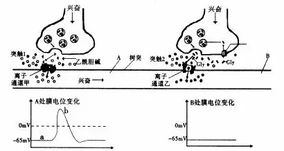 什么是系统动力学？它如何解释完美主义让人痛苦这一现象