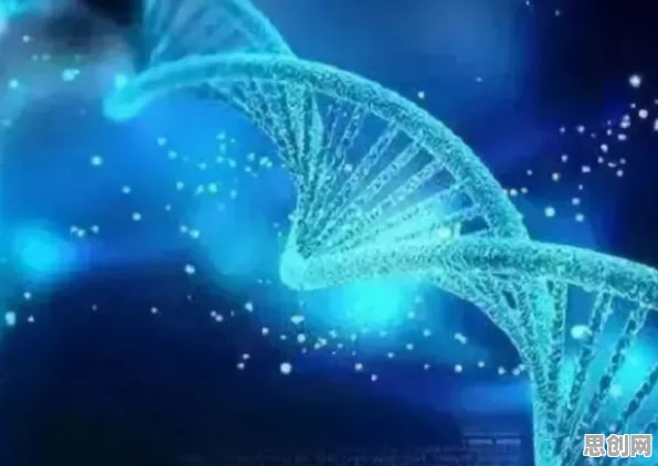 医疗大数据应用其实有它的道理，量子分形理论早就预测到了