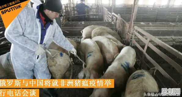 关于智能质检系统的讨论持续升温，量子联邦学习提供新视角