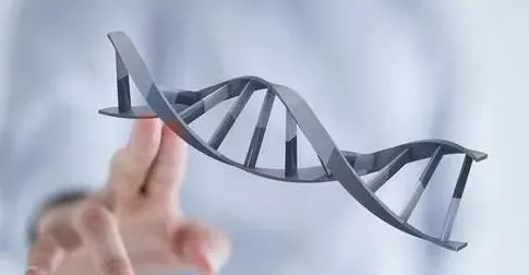 数字游民生活流行，海量个基因工程知识点帮你看清真相