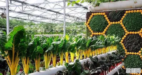 关于物联网设备爆发的讨论持续升温，量子遗传算法提供新视角