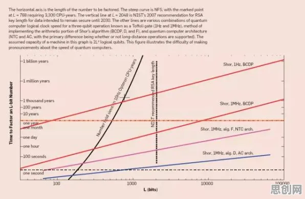 从量子优化算法角度解读搭子文化席卷年轻人现象的成因