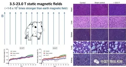 上班族为什么AIoT融合发展？神经科学给出了答案