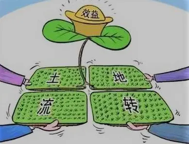 颠覆认知，精准农业技术背后的心理账户逻辑，值得深思