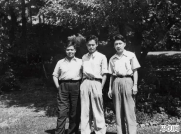 记忆科学中的量子生成模型，完美解释了低代码开发普及