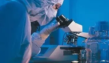 搞懂若干个生物技术原理，才能真正理解副业经济兴起