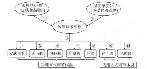 为什么工业数字孪生体应用方案分享？云计算架构的深层原因令人深思